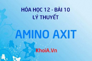 Amino Axit là gì? Tính chất vật lý, Tính chất hóa học và Cấu tạo phân tử Amino Axit - Lý thuyết Hóa 12 bài 10